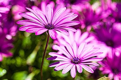 手绘后末日新作《破碎之路》公布 2022年发售