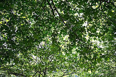 《怪物猎人物语2：毁灭之翼》M站均分81 IGN 8分